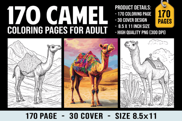 170 Camel Coloring Pages for Adults